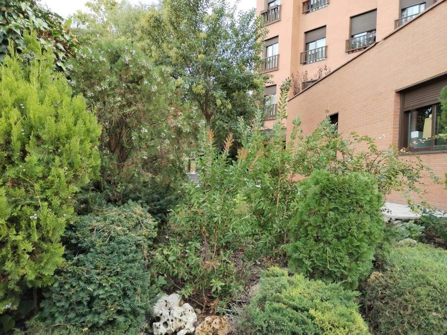 Apartamento Wanda Ifema Aeropuerto Jc Madrid